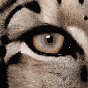 1024手机看片旧版
