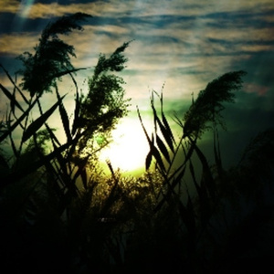 1024手机看片旧版
