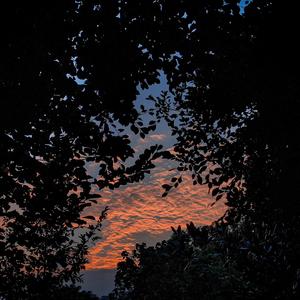 1024手机看片旧版
